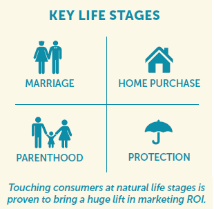 Life Stages-2.png