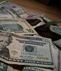money 250x290 Money